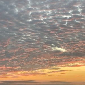 Meet your Posher, Kifle